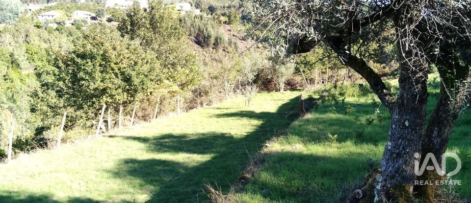 Quinta T4 em Pedrógão Grande de 426 m²