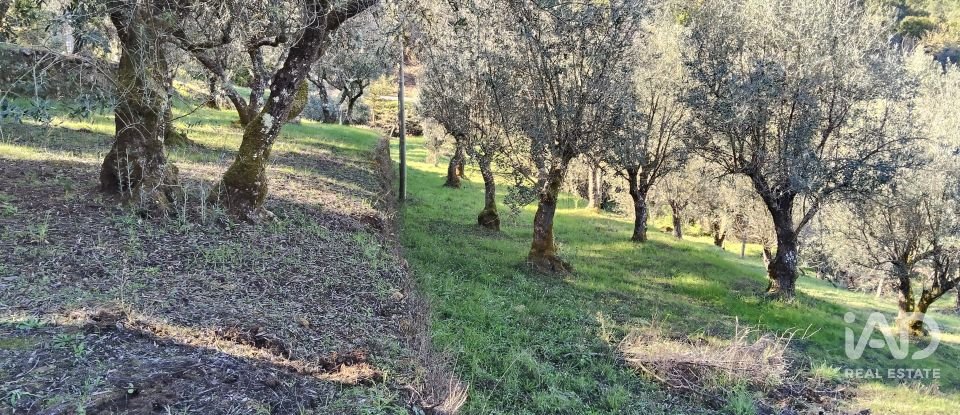 Quinta T4 em Pedrógão Grande de 426 m²