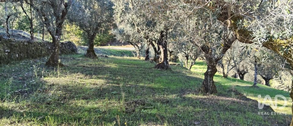 Quinta T4 em Pedrógão Grande de 426 m²