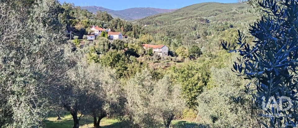 Quinta T4 em Pedrógão Grande de 426 m²