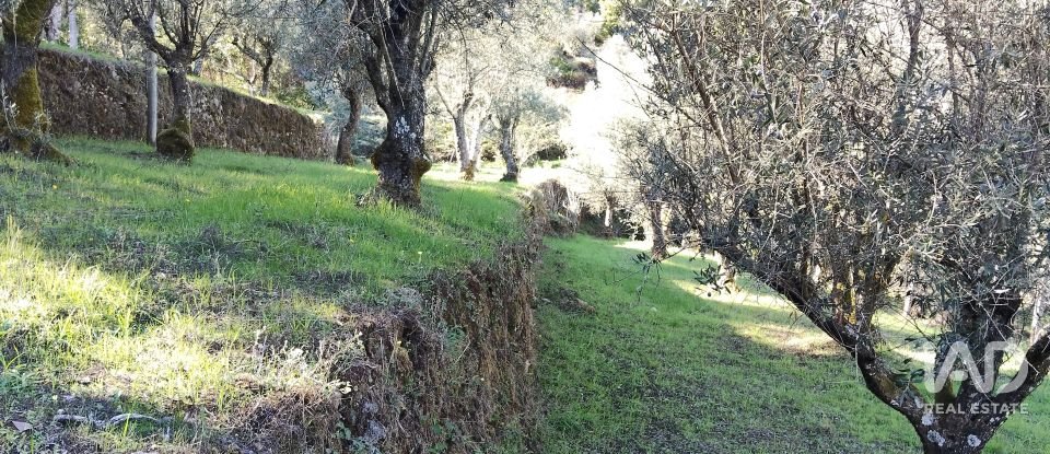 Quinta T4 em Pedrógão Grande de 426 m²