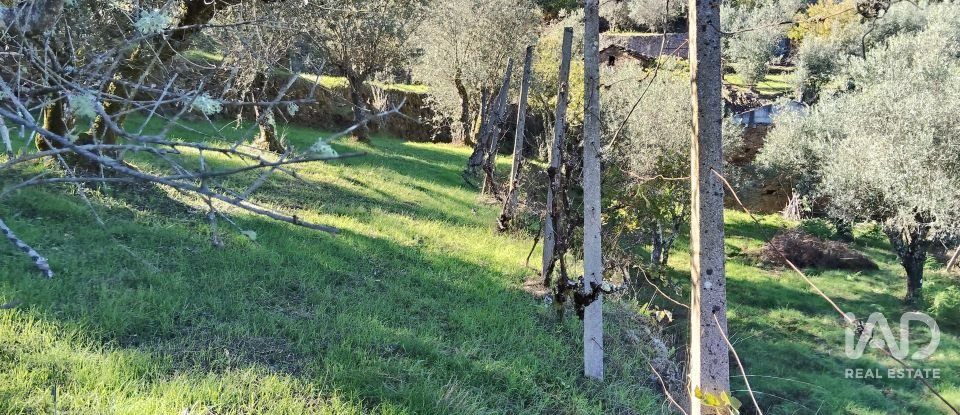 Quinta T4 em Pedrógão Grande de 426 m²