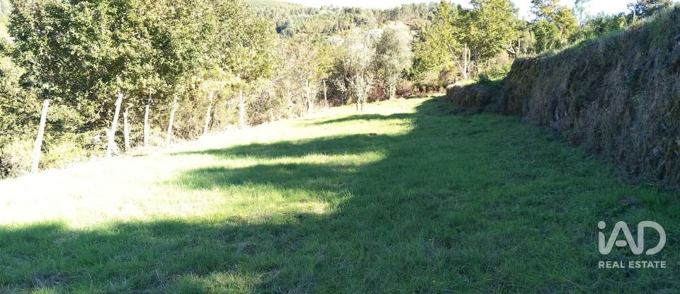 Quinta T4 em Pedrógão Grande de 426 m²