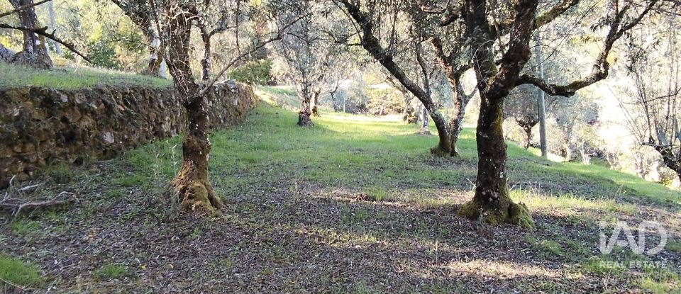 Quinta T4 em Pedrógão Grande de 426 m²