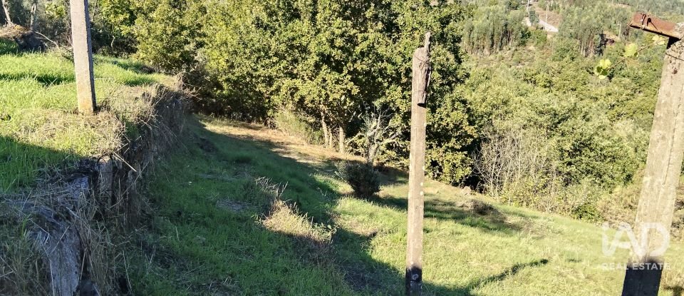 Quinta T4 em Pedrógão Grande de 426 m²