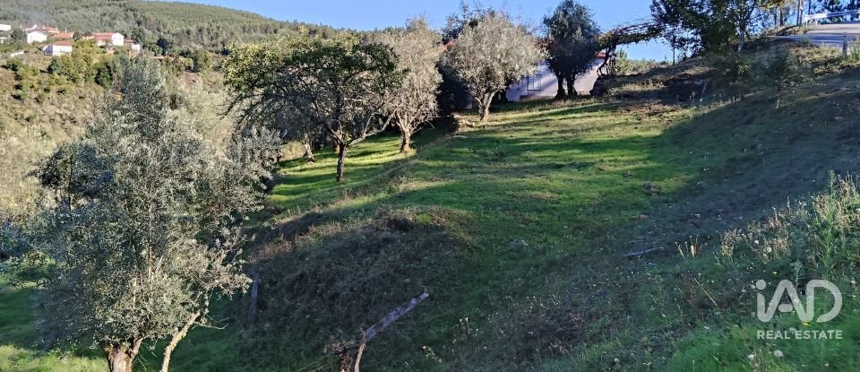 Quinta T4 em Pedrógão Grande de 426 m²