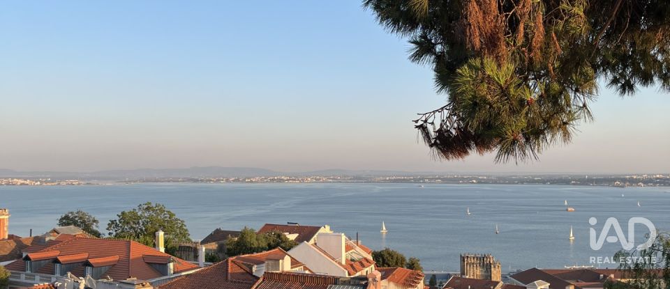 Apartment T0 in Santa Maria Maior of 25 m²