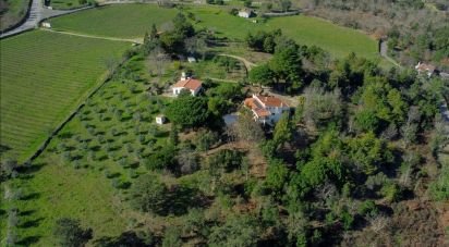 Ferme T8 à Ribeira de Nisa e Carreiras de 378 m²