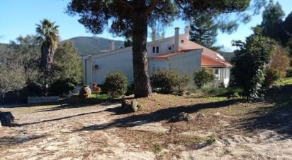 Ferme T8 à Ribeira de Nisa e Carreiras de 378 m²