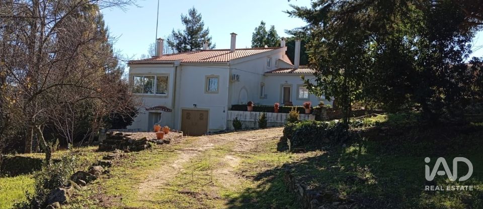 Quinta T8 em Ribeira de Nisa e Carreiras de 378 m²