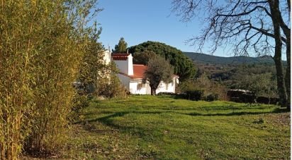 Ferme T8 à Ribeira de Nisa e Carreiras de 378 m²