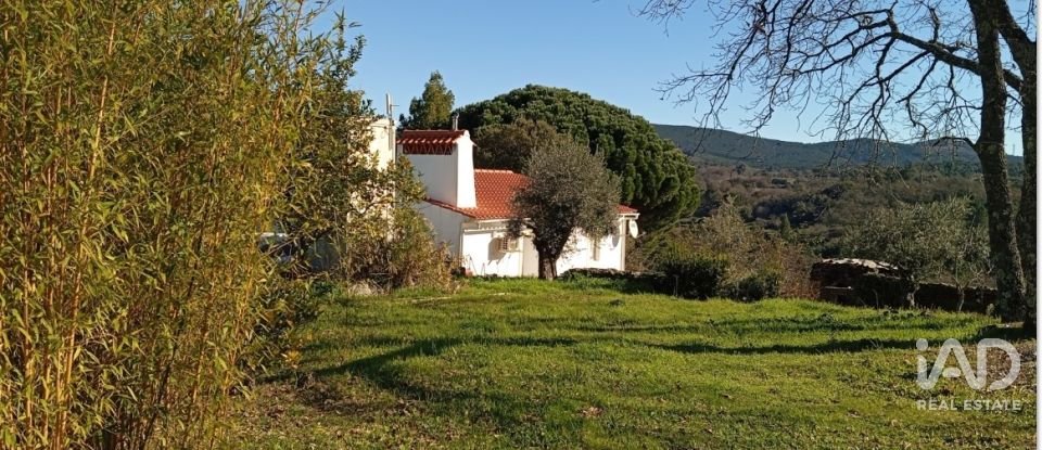 Quinta T8 em Ribeira de Nisa e Carreiras de 378 m²