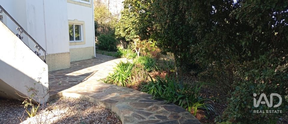 Quinta T8 em Ribeira de Nisa e Carreiras de 378 m²