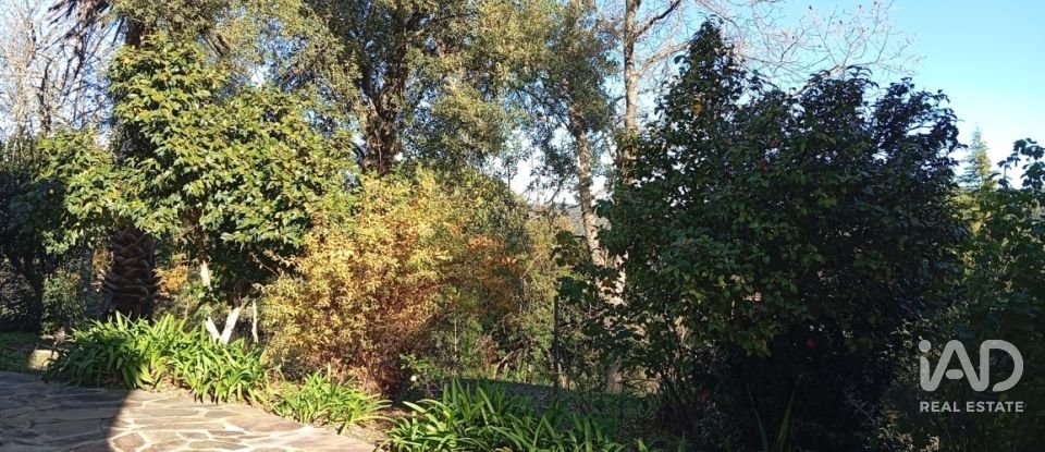 Quinta T8 em Ribeira de Nisa e Carreiras de 378 m²