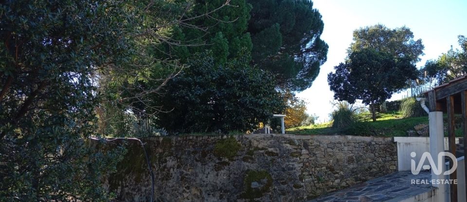 Quinta T8 em Ribeira de Nisa e Carreiras de 378 m²