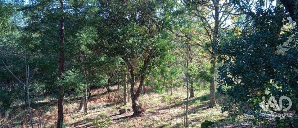 Quinta T8 em Ribeira de Nisa e Carreiras de 378 m²