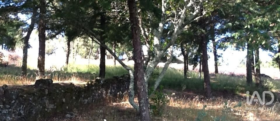 Quinta T8 em Ribeira de Nisa e Carreiras de 378 m²