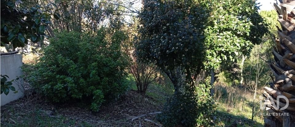 Quinta T8 em Ribeira de Nisa e Carreiras de 378 m²