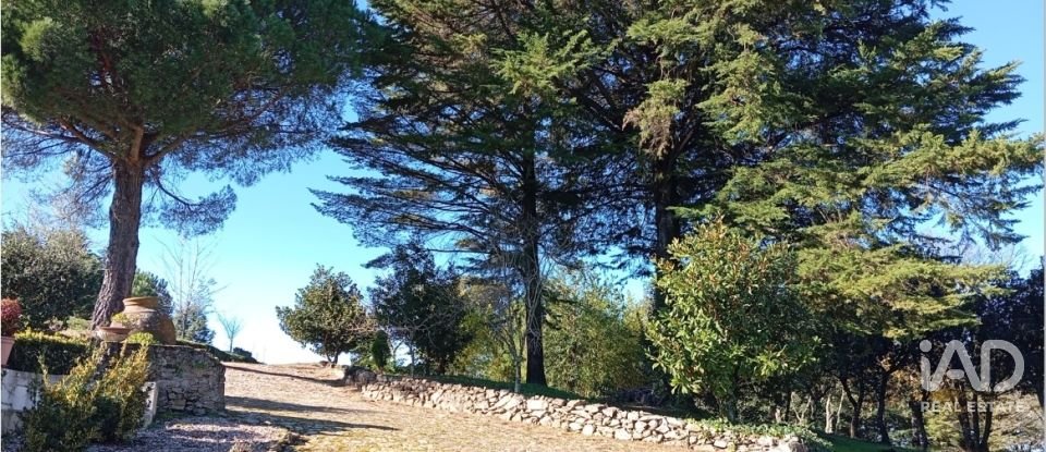 Quinta T8 em Ribeira de Nisa e Carreiras de 378 m²