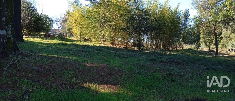 Quinta T8 em Ribeira de Nisa e Carreiras de 378 m²