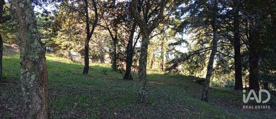 Quinta T8 em Ribeira de Nisa e Carreiras de 378 m²