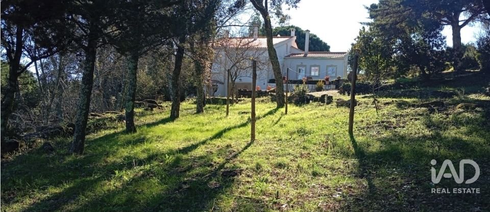 Quinta T8 em Ribeira de Nisa e Carreiras de 378 m²