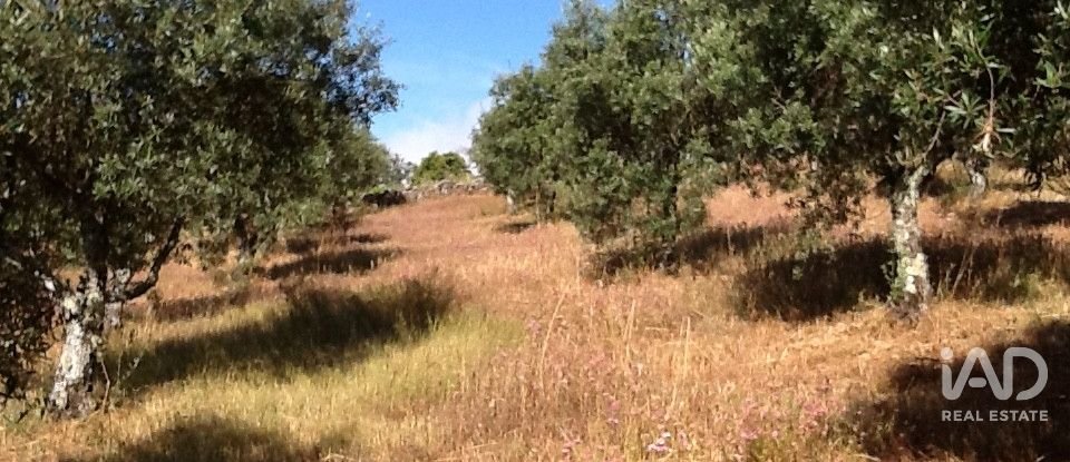 Quinta T8 em Ribeira de Nisa e Carreiras de 378 m²