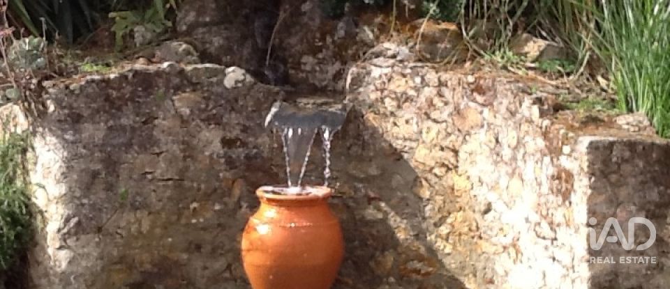 Quinta T8 em Ribeira de Nisa e Carreiras de 378 m²