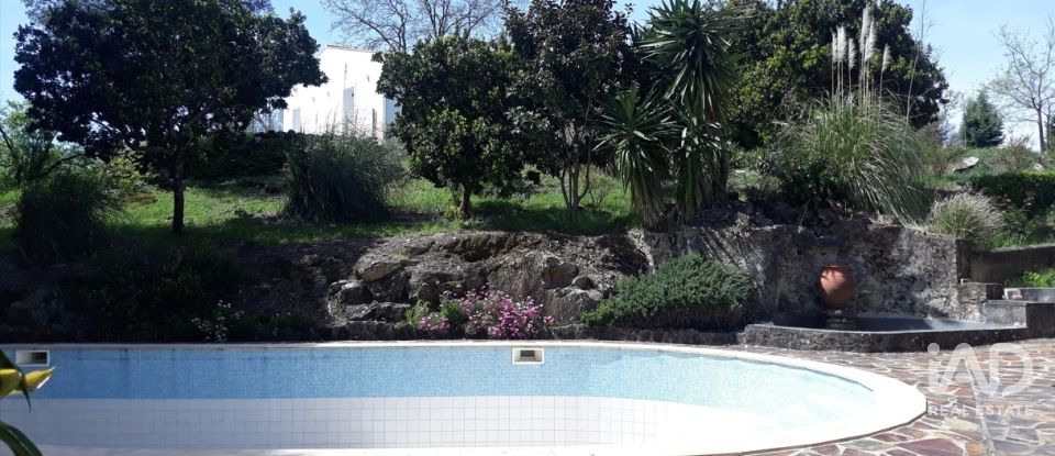 Quinta T8 em Ribeira de Nisa e Carreiras de 378 m²