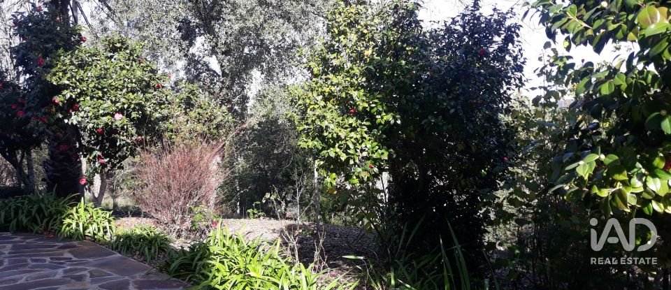 Quinta T8 em Ribeira de Nisa e Carreiras de 378 m²