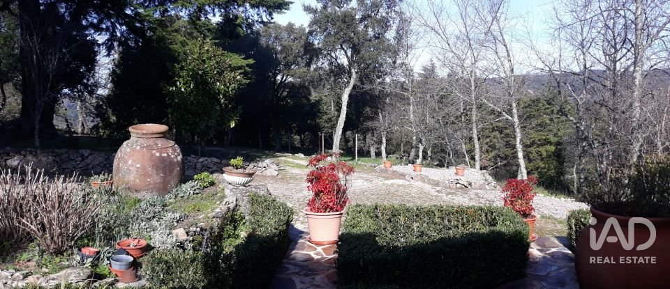 Quinta T8 em Ribeira de Nisa e Carreiras de 378 m²