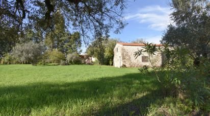 Maison T4 à São Miguel, Santa Eufémia e Rabaçal de 116 m²