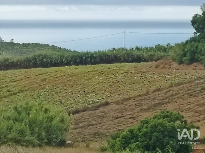 Terreno urbano em Lourinhã e Atalaia de 2 358 m²