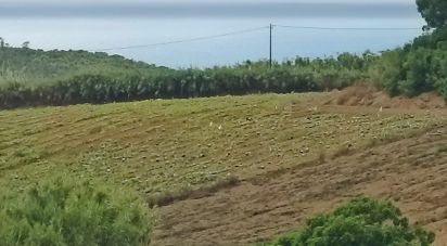 Terrain à bâtir à Lourinhã e Atalaia de 2 358 m²