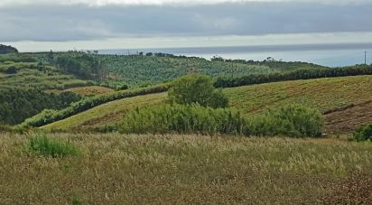 Terrain à bâtir à Lourinhã e Atalaia de 2 358 m²