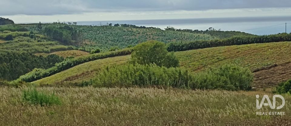 Terreno urbano em Lourinhã e Atalaia de 2 358 m²