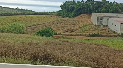 Terrain à bâtir à Lourinhã e Atalaia de 2 358 m²