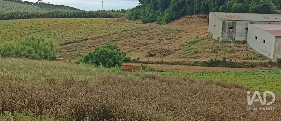 Terreno urbano em Lourinhã e Atalaia de 2 358 m²