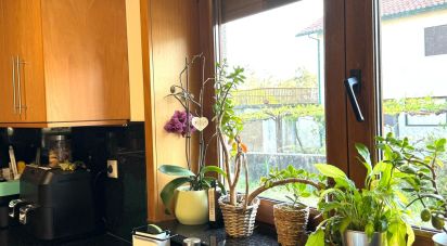 Maison T4 à Navió e Vitorino dos Piães de 285 m²