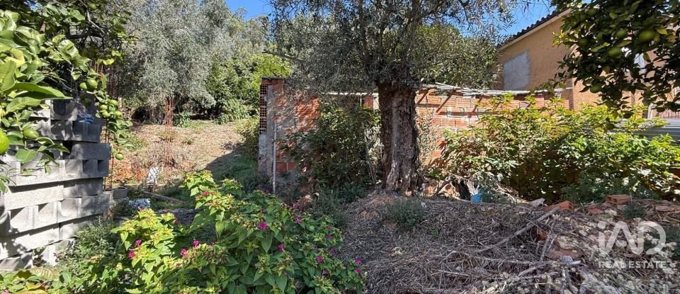 Quinta T2 em Miranda do Corvo de 116 m²