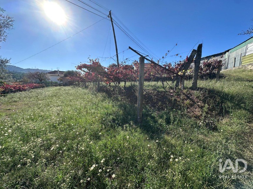 Terreno rústico em Fornelos e Queijada de 2 784 m²