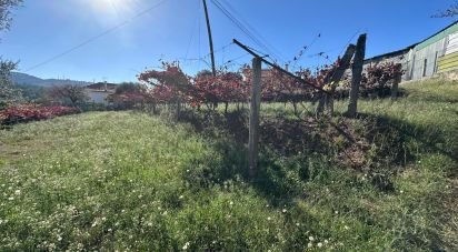 Farm land in Fornelos e Queijada of 2,784 m²