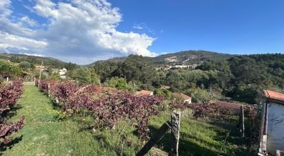 Farm land in Fornelos e Queijada of 2,784 m²