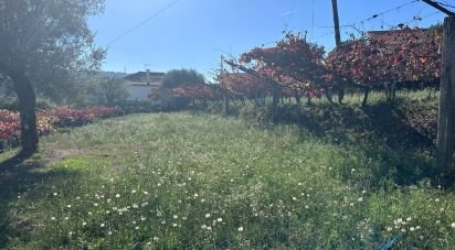 Farm land in Fornelos e Queijada of 2,784 m²