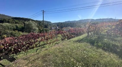 Farm land in Fornelos e Queijada of 2,784 m²