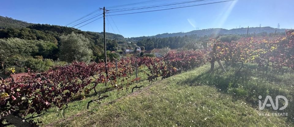 Terreno rústico em Fornelos e Queijada de 2 784 m²