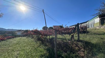 Farm land in Fornelos e Queijada of 2,784 m²