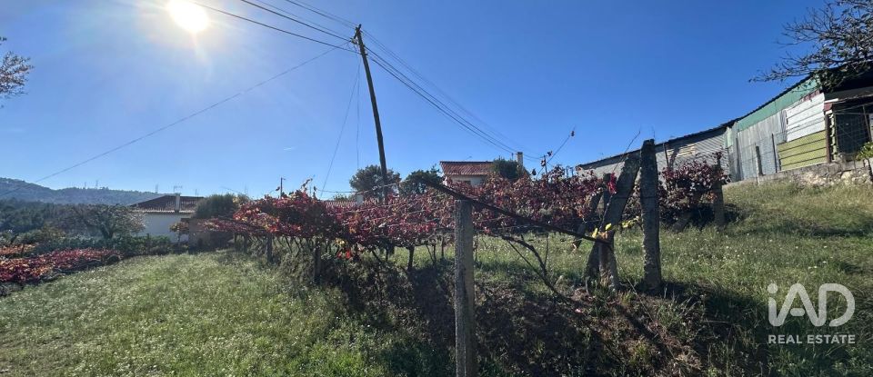 Terreno rústico em Fornelos e Queijada de 2 784 m²