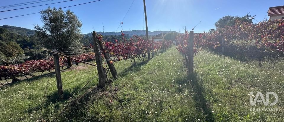 Terreno rústico em Fornelos e Queijada de 2 784 m²