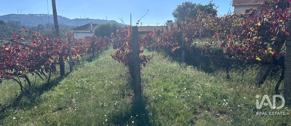Terreno rústico em Fornelos e Queijada de 2 784 m²